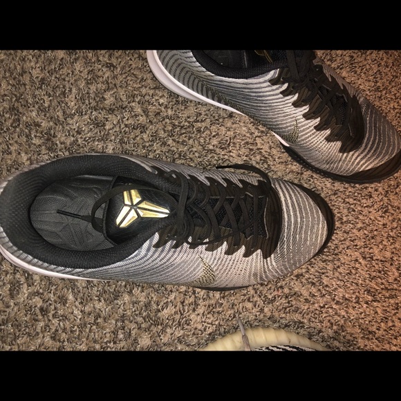 Kobe shoes